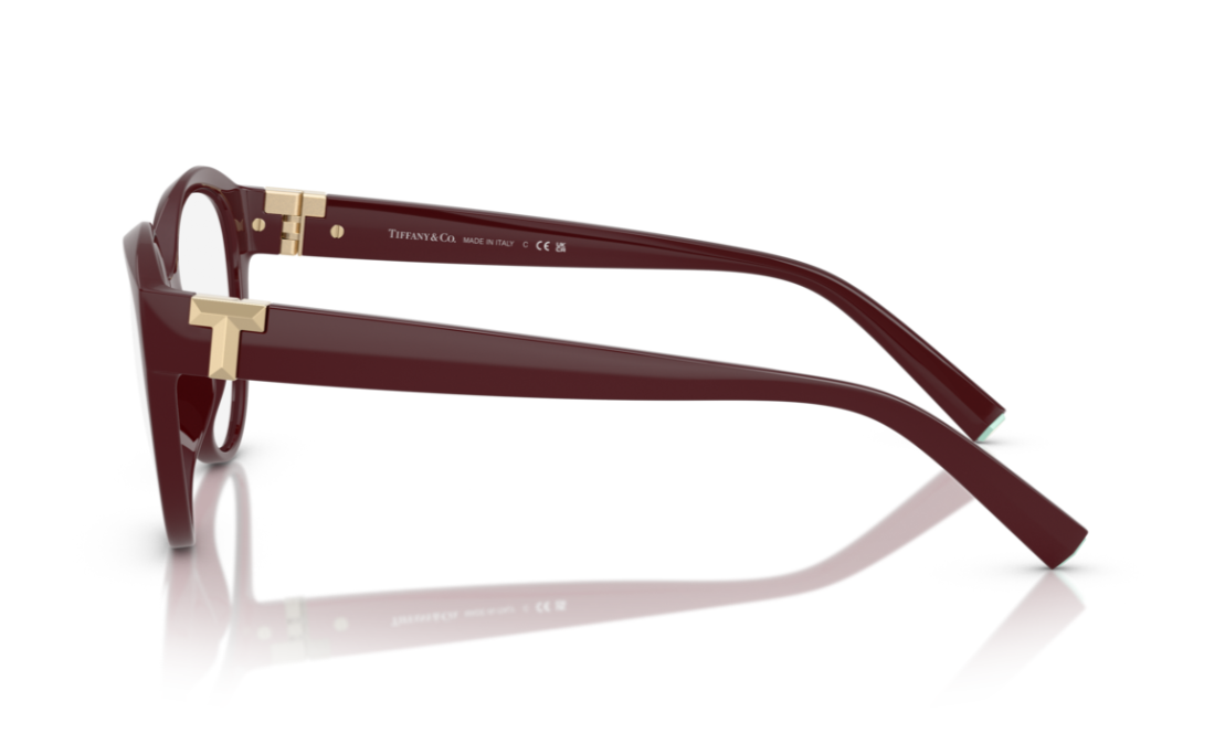 TIFFANY & CO. TF2255U — Lateral