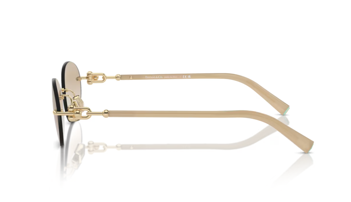 TIFFANY & CO. TF3104D — Lateral