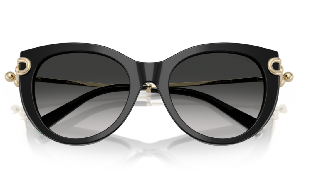 TIFFANY & CO. TF4232