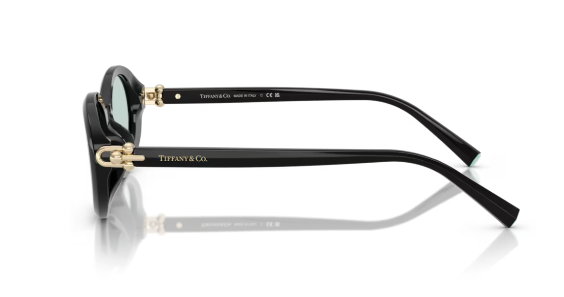 TIFFANY & CO. TF4242D — Lateral